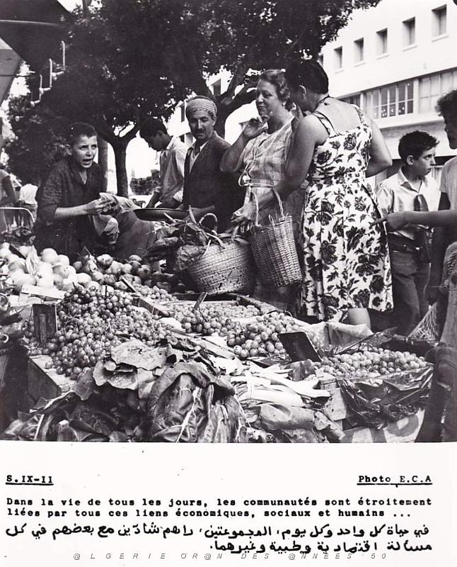 Algerie propagande 038.jpg